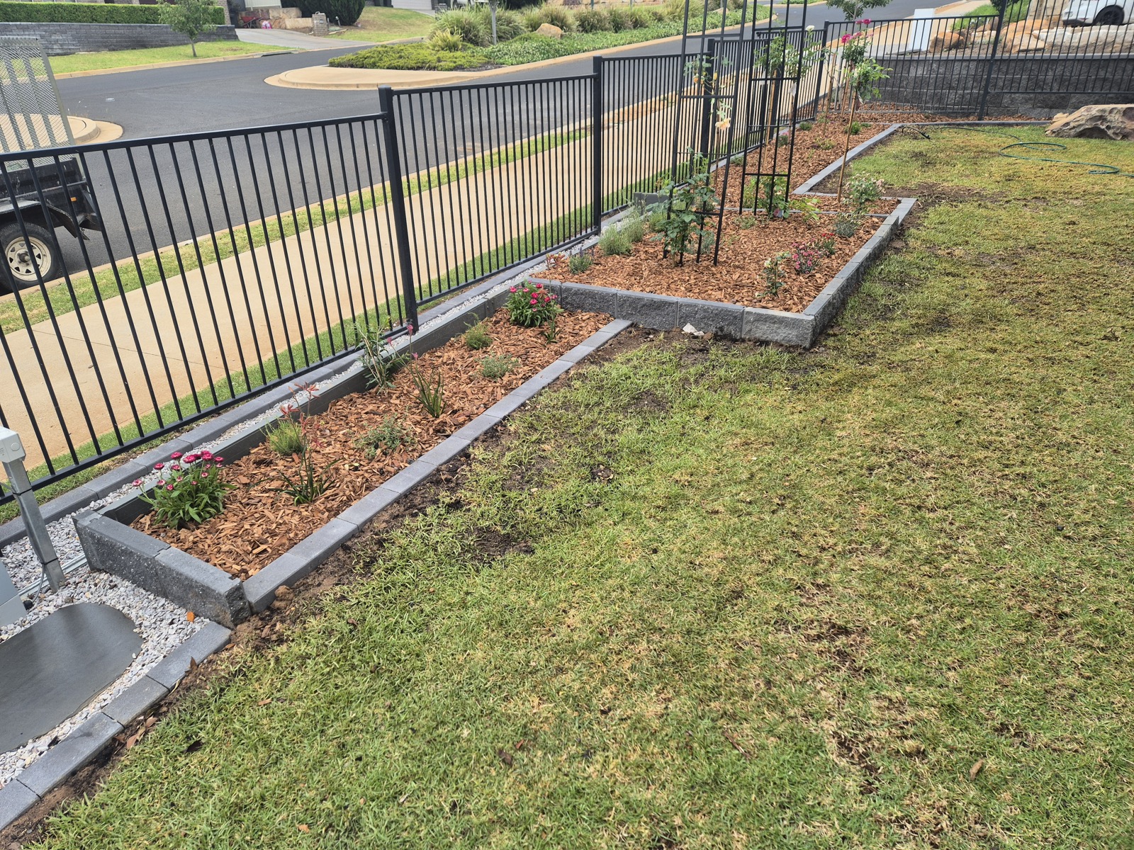 A fence line, garden bed and lawn by MR Landscapes