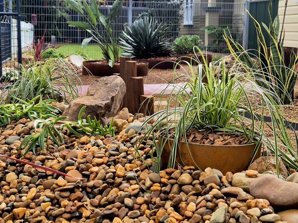 A water-smart succulent garden by MR Landscapes in Dubbo