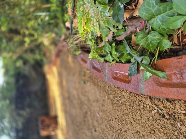 A planted garden bed by MR Landscapes