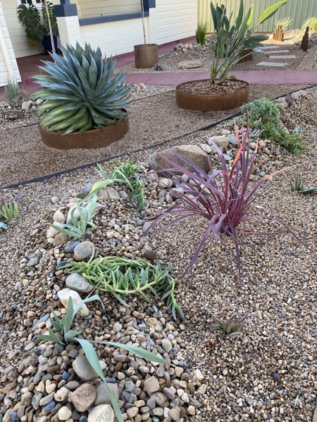A water-smart gravel and succulent garden by MR Landscapes