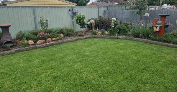 A water-smart garden built by Matt