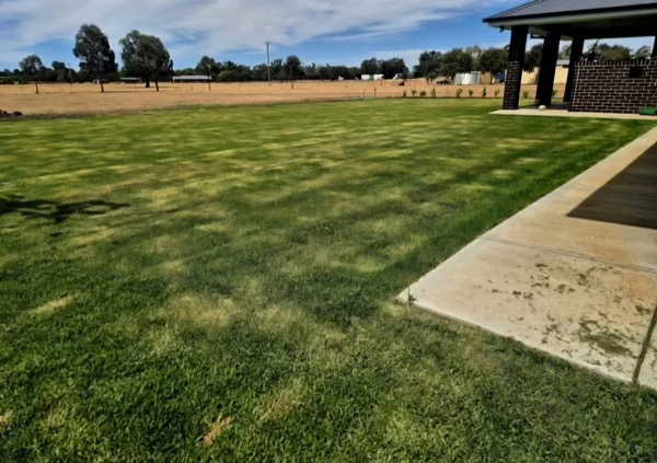 A finished lawn and garden by MR Landscapes