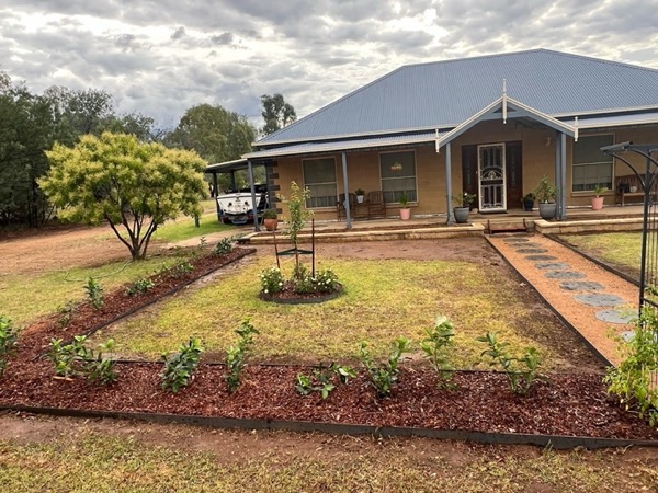 A water-smart garden built by Matt