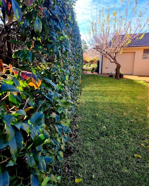 A finished lawn and garden in the Central West
