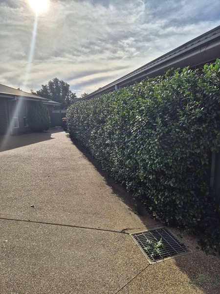 Paving and hardscaping by MR Landscapes