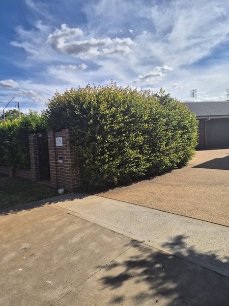 Landscape construction by Matt in Dubbo