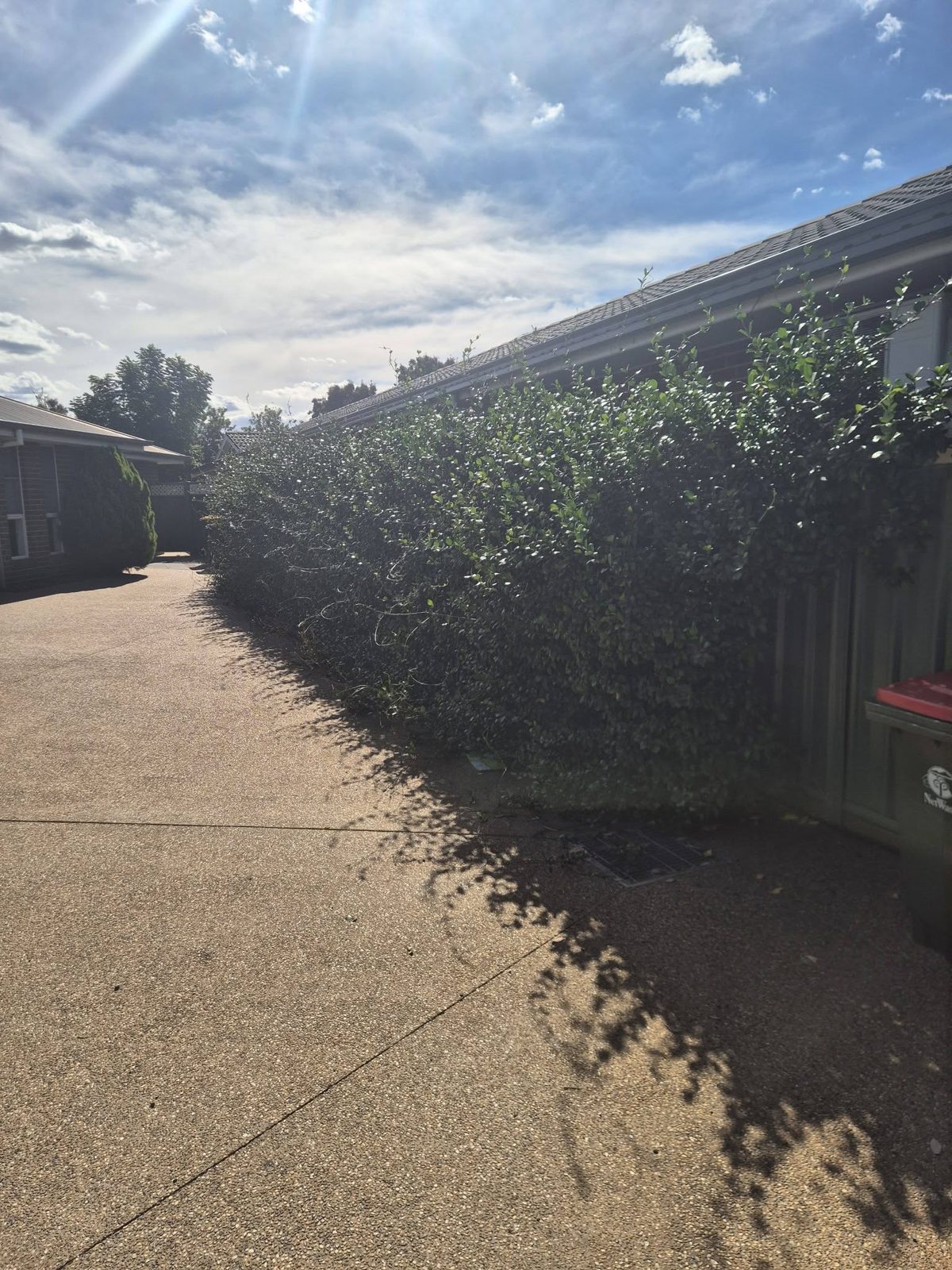 A finished lawn and garden in the Central West