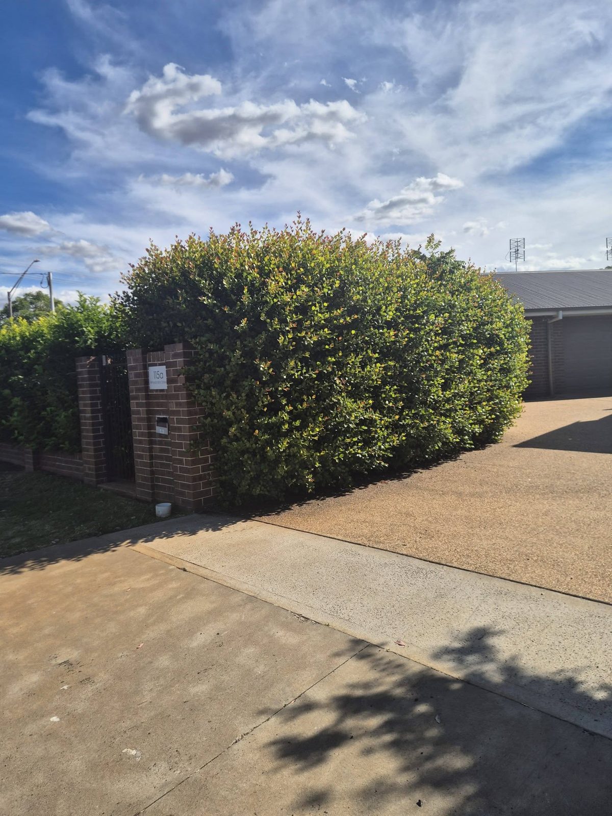 Landscape construction by Matt in Dubbo